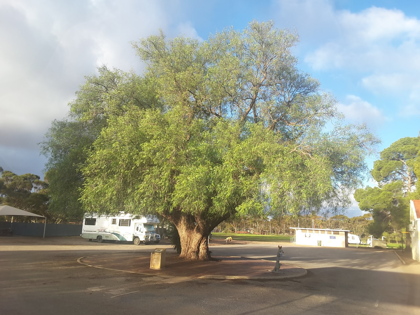 Alford Free Campground 3