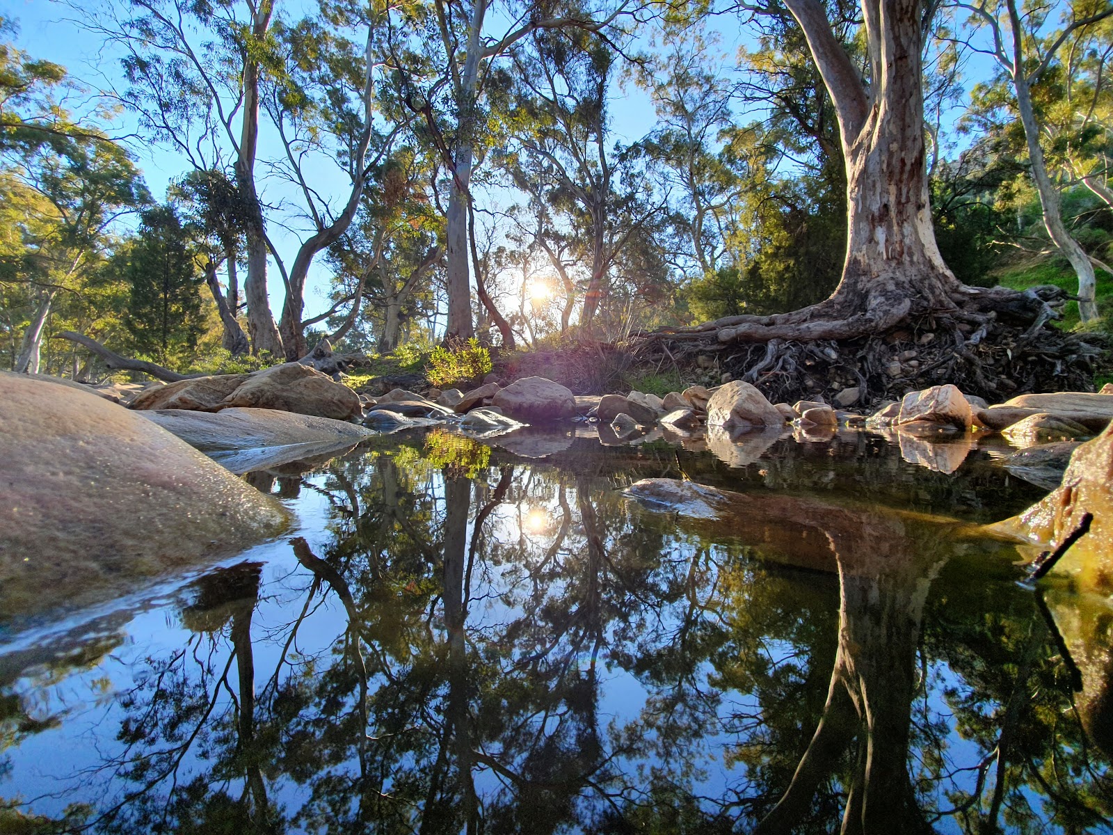 Mambray Creek campground 3