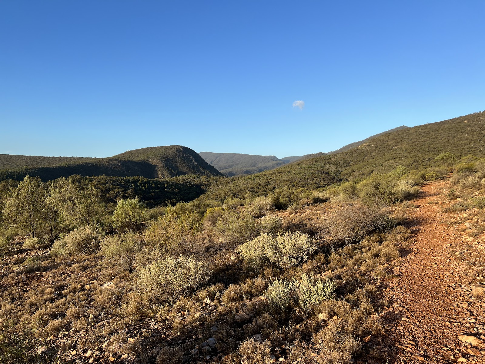 Mambray Creek campground 4