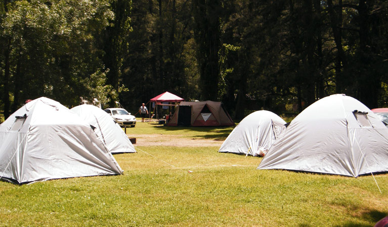 Wombeyan Caves Campground 2