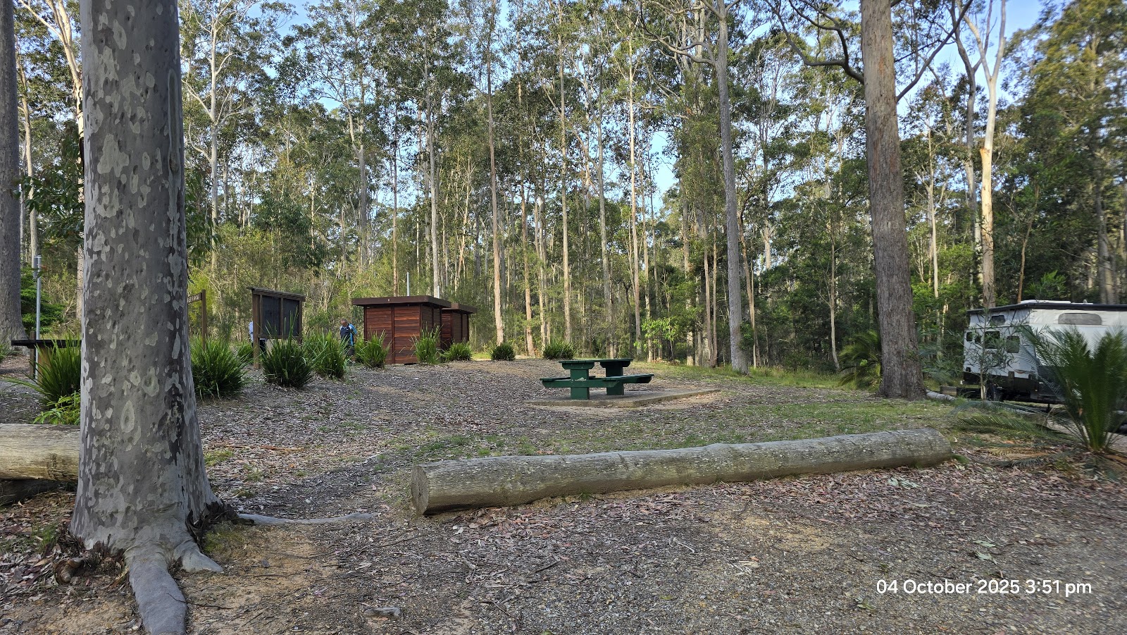 Bodalla Forest Park Rest Area 2