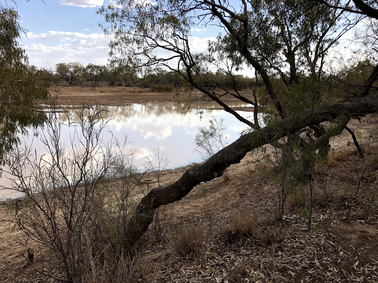 Wilson River Reserve Camp 2