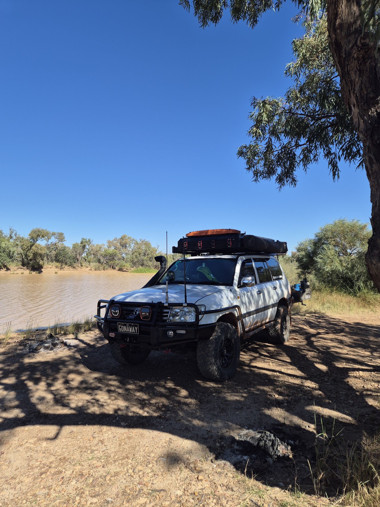 Wilson River Reserve Camp 3