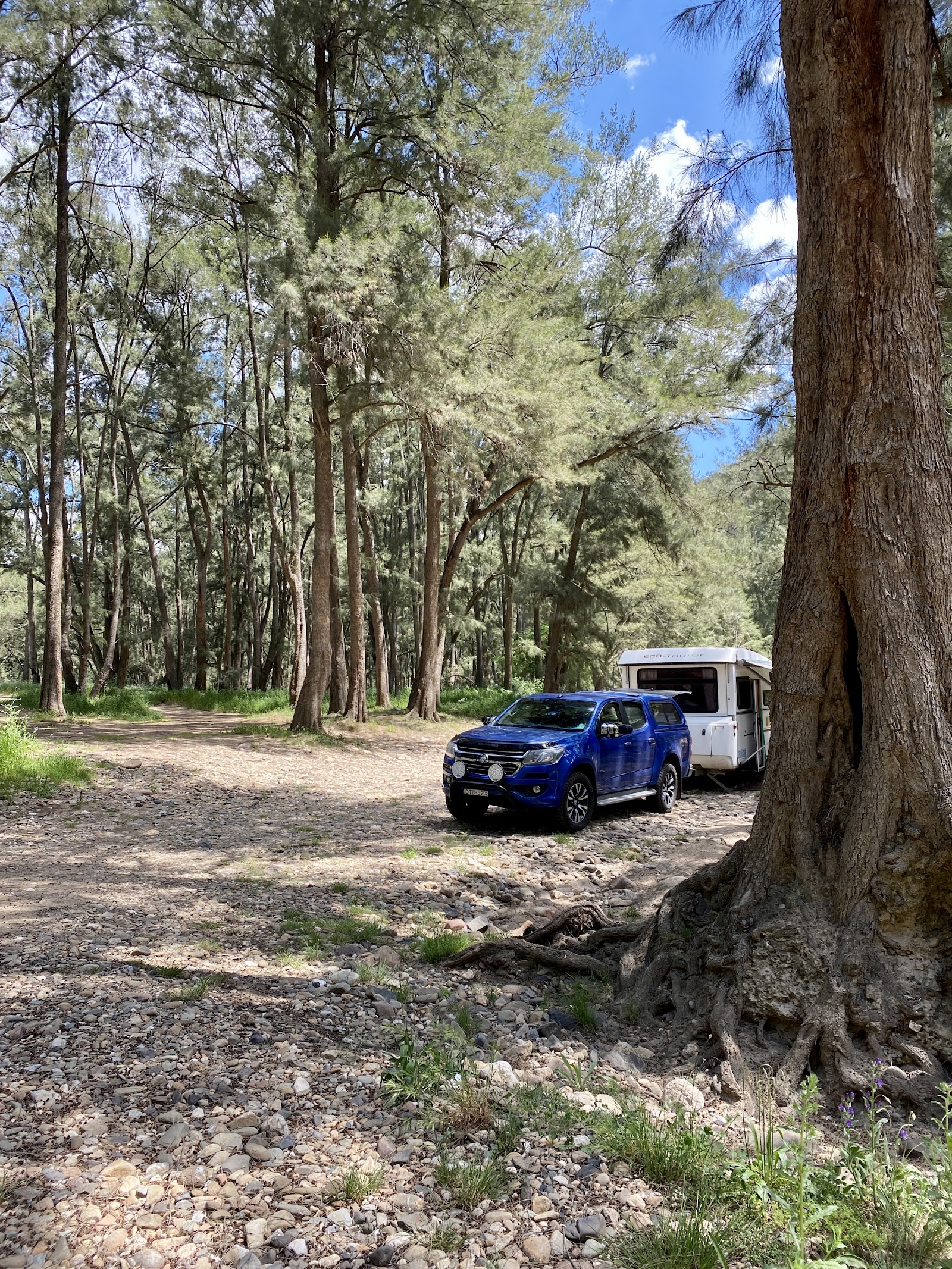 Junction Campground 2