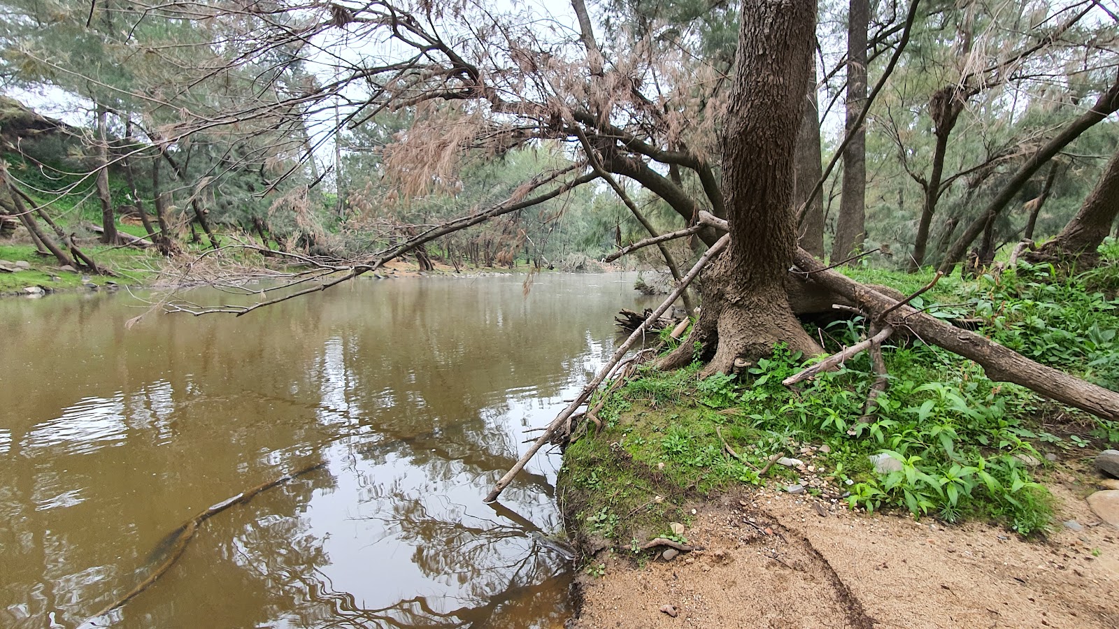 Junction Campground 3