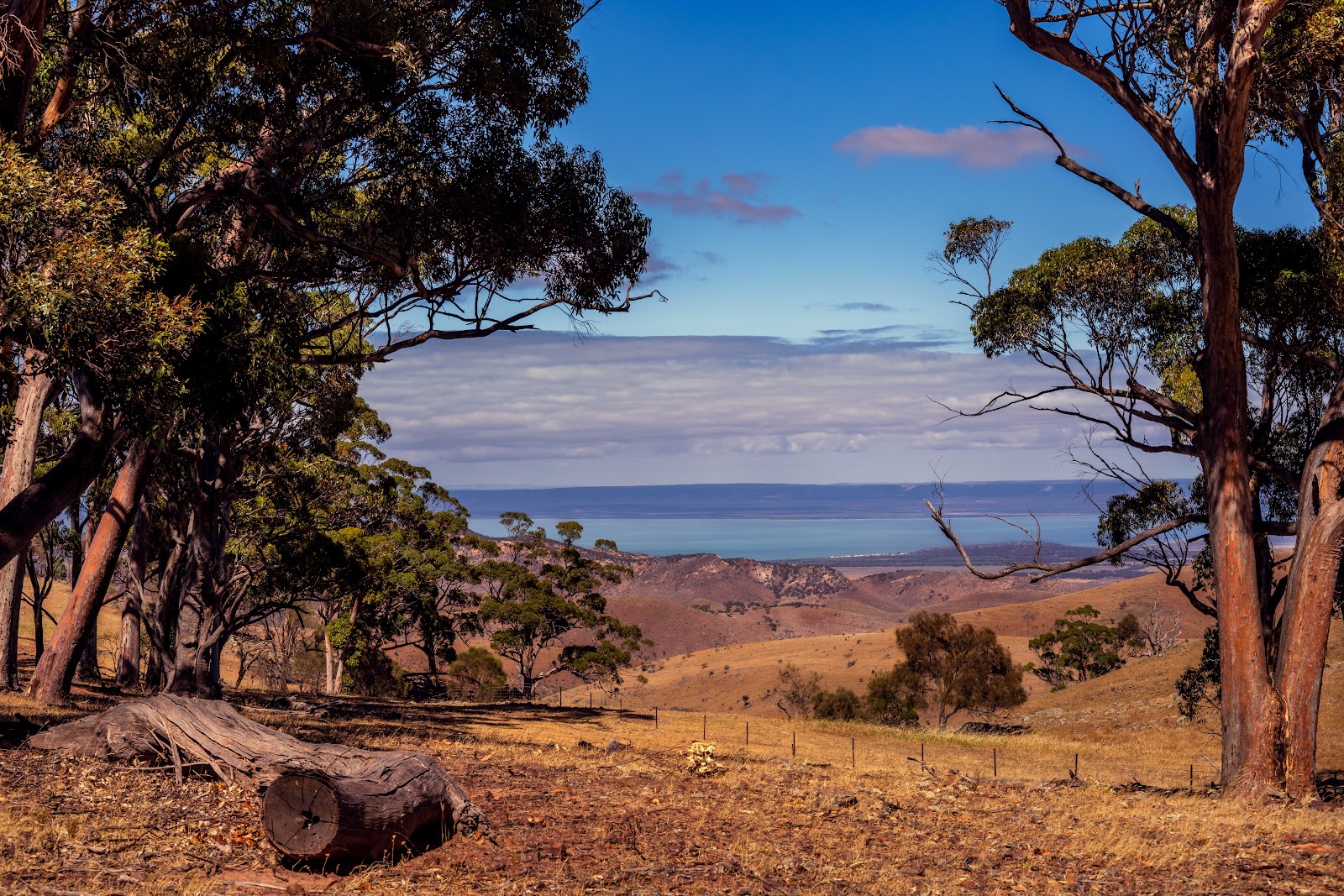 Hancocks Lookout 6