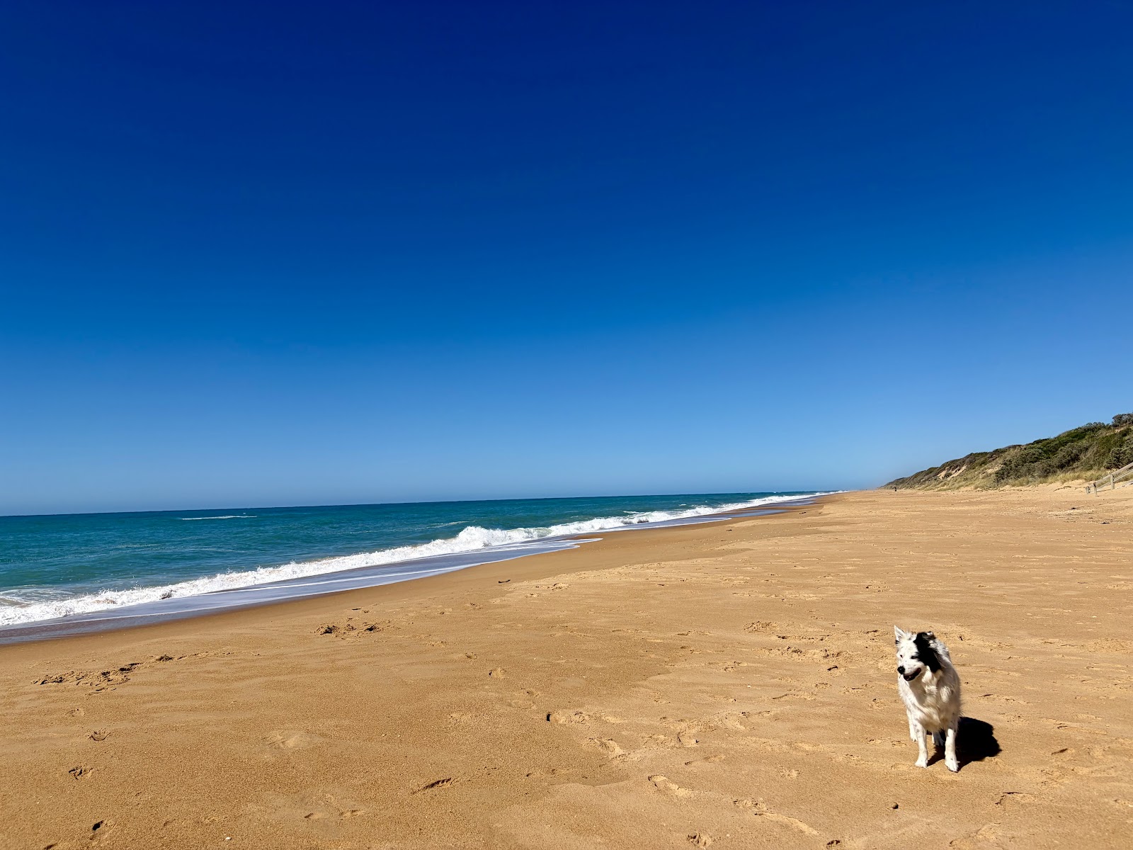 Paradise Beach Campground 3