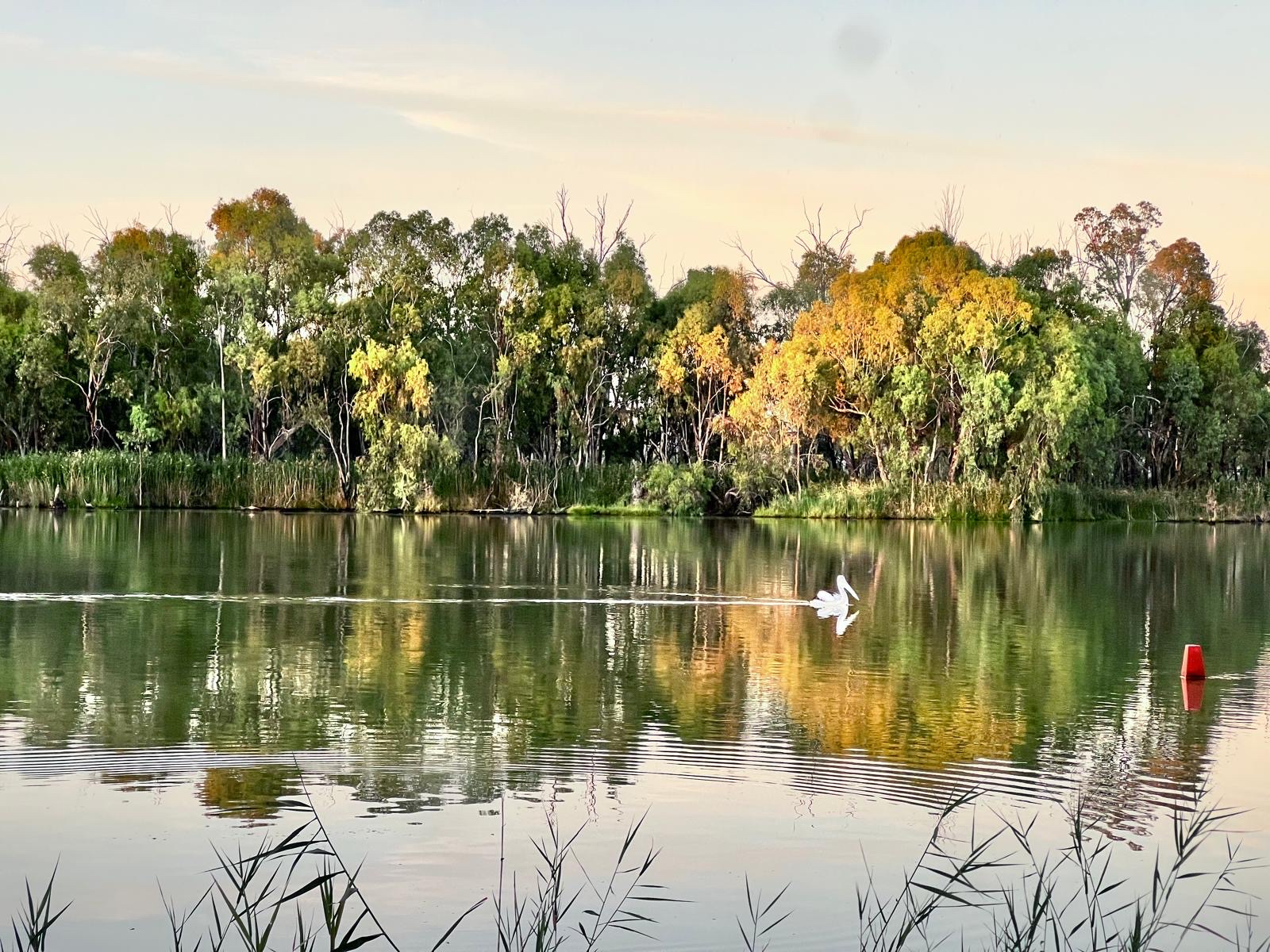 Kaiser Strip Campground 2