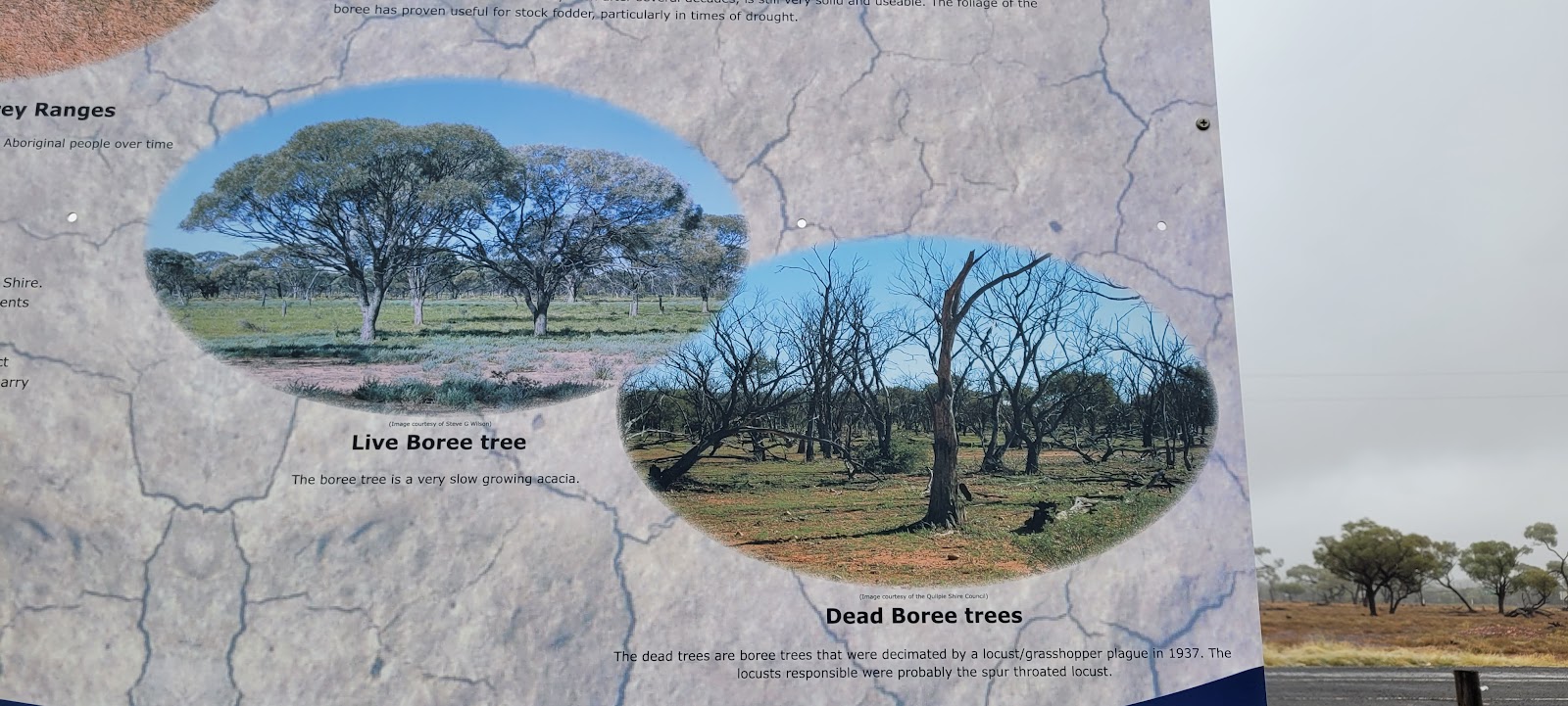 Diamantina Developmental Road Rest Area 6
