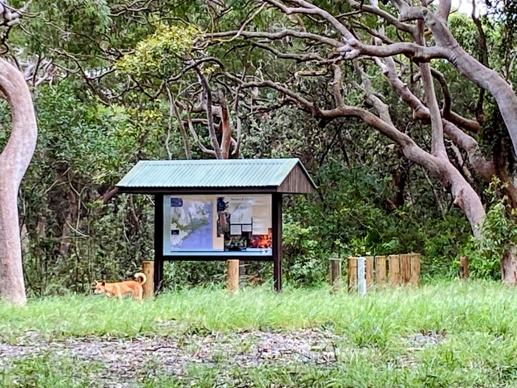 Stewart and Lloyds campground 2