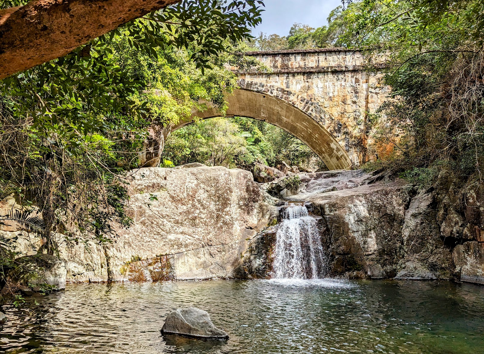 Paluma Range National Park 5