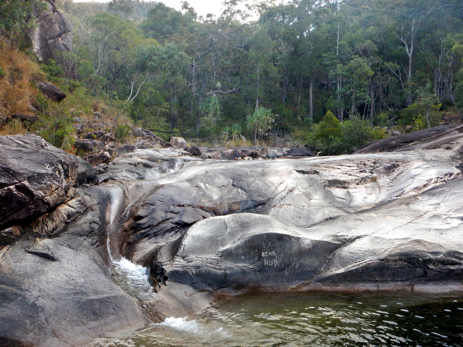 Paluma Range National Park 13