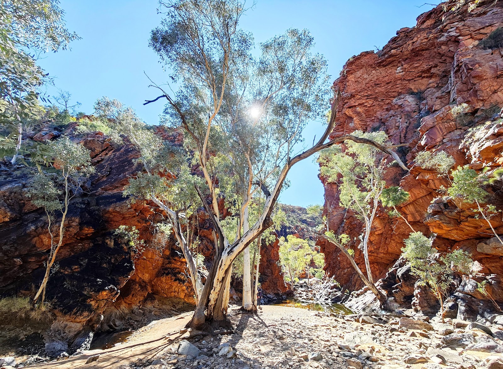 Serpentine Gorge 3