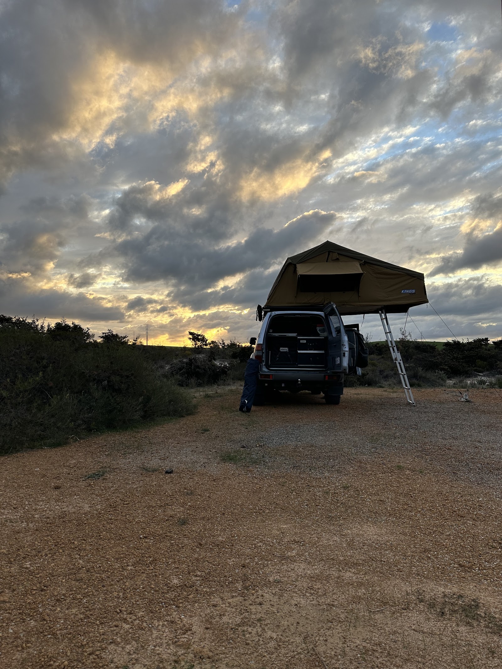 Hakea Reserve 5