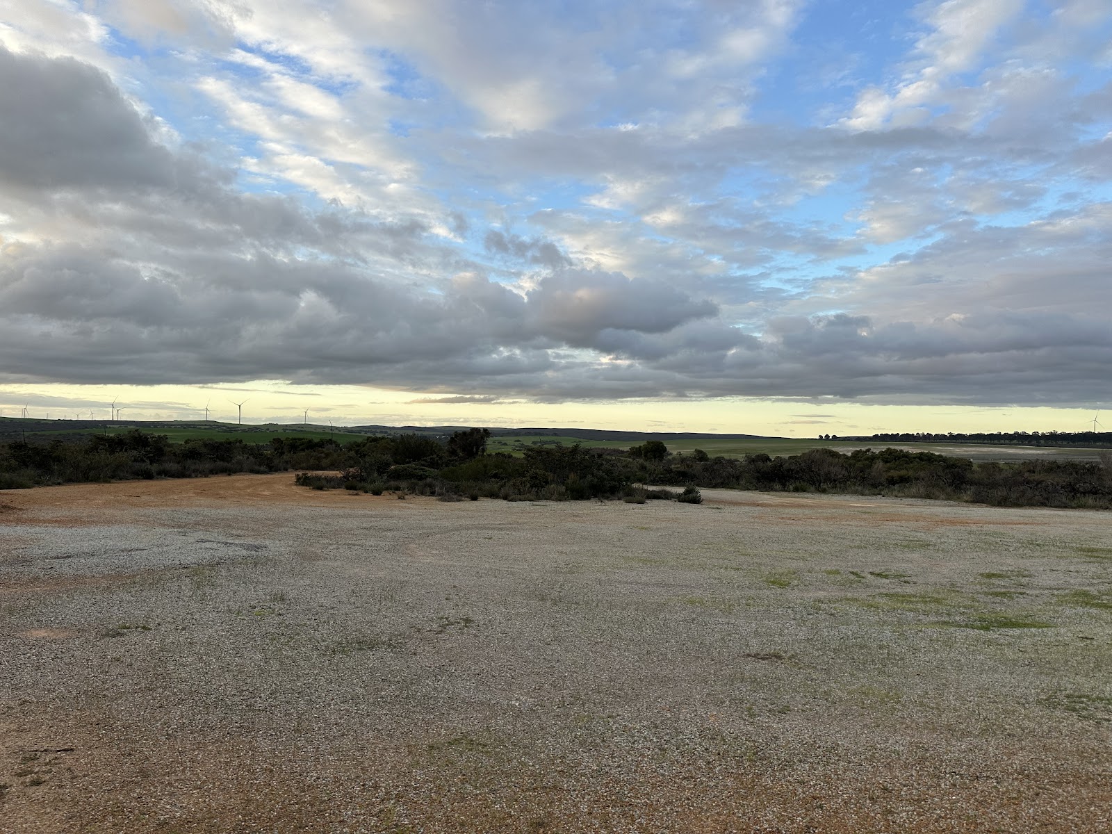Hakea Reserve 3