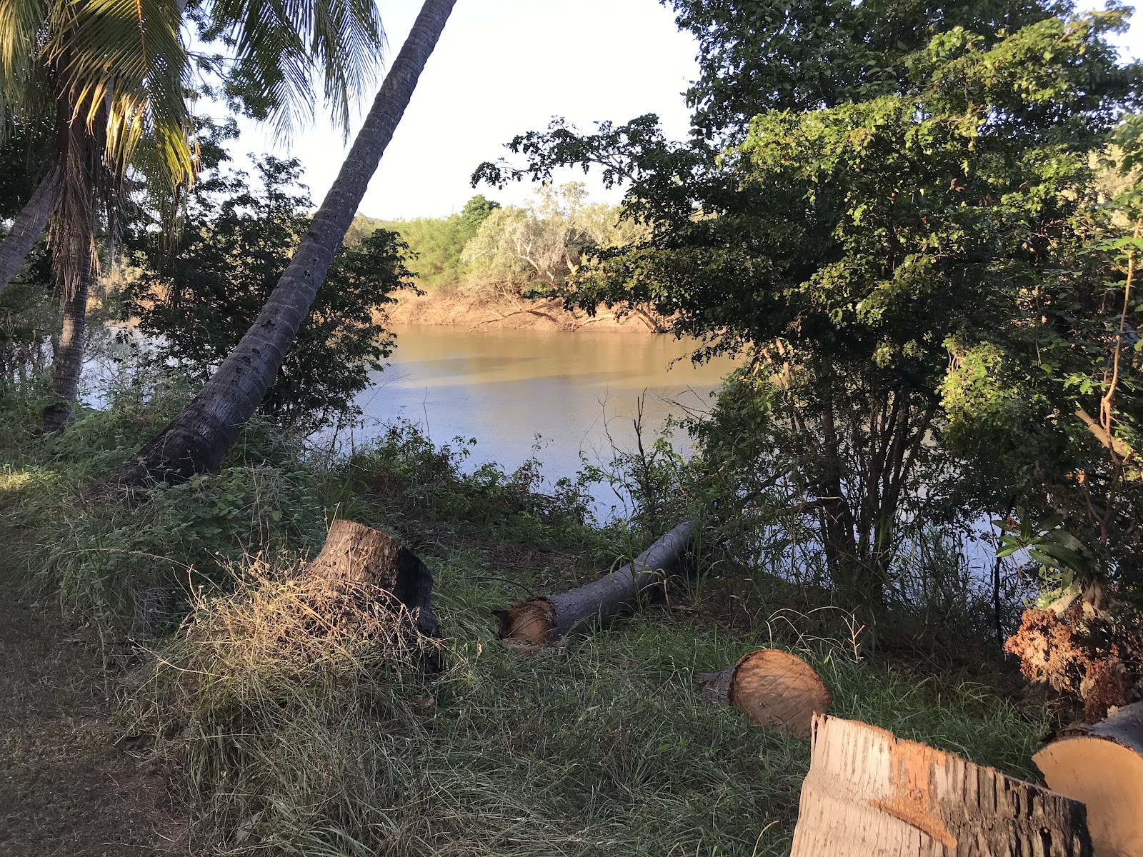 Daly River Mango Farm 3