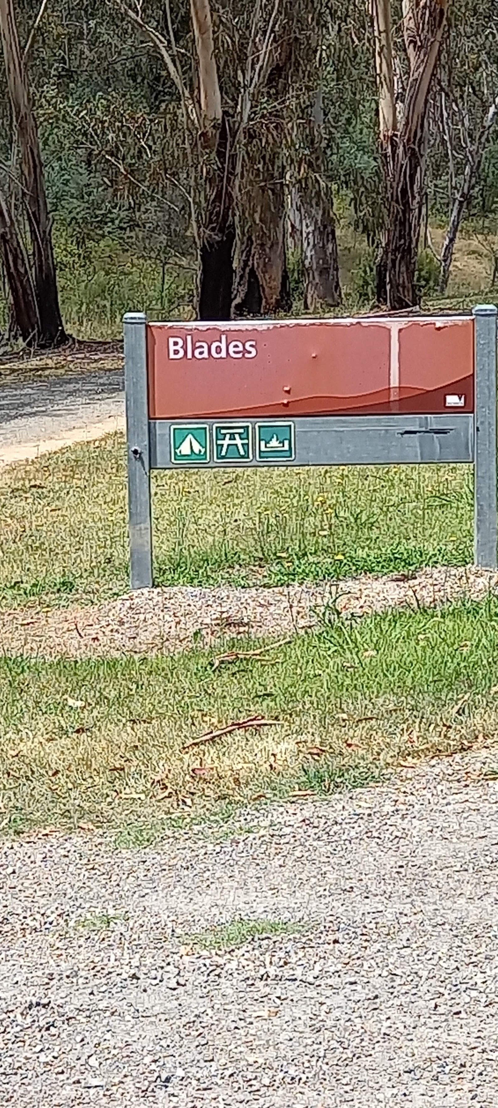 Blades free camp 2