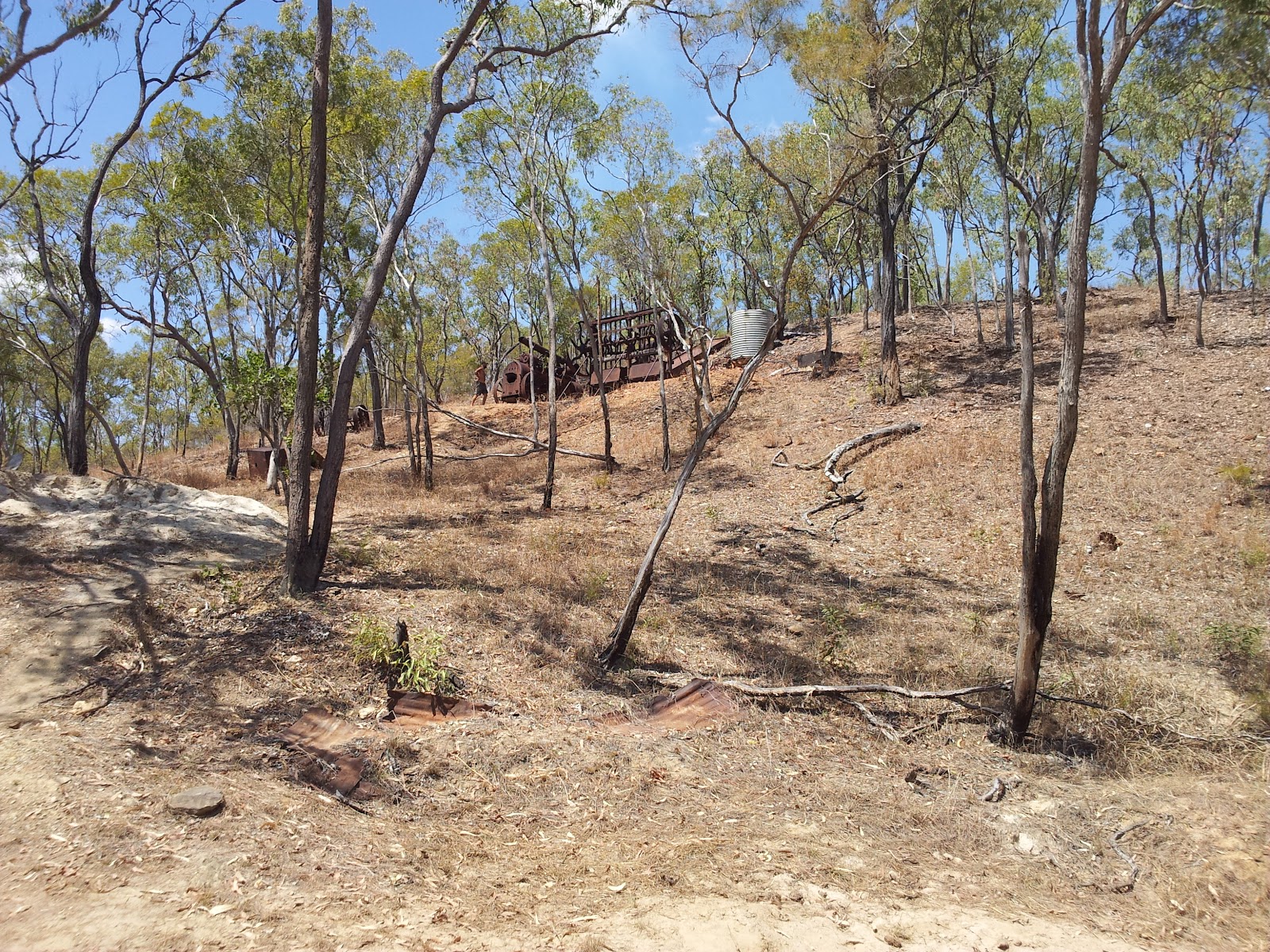 Palmer Goldfield Resources Reserve 3