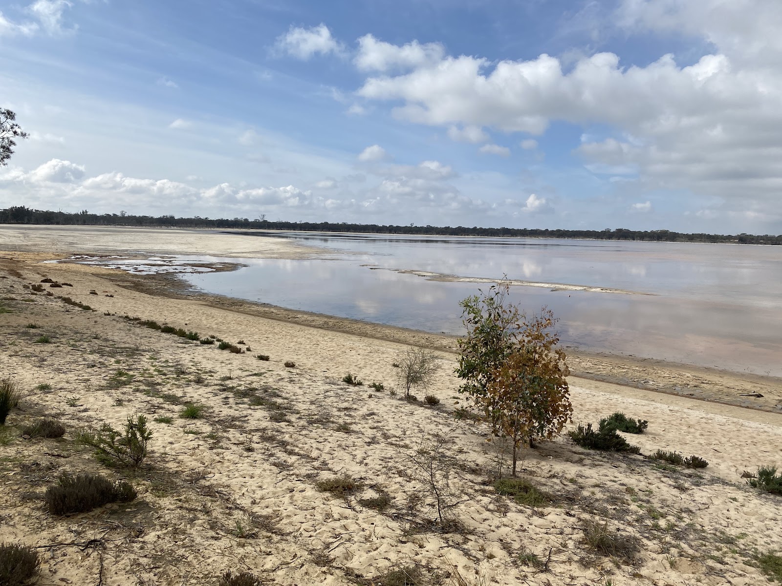Lake Ewlyamartup 6