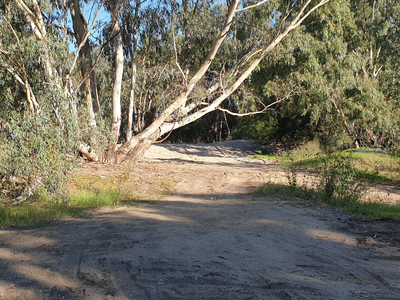 The Shanty Reserve 3