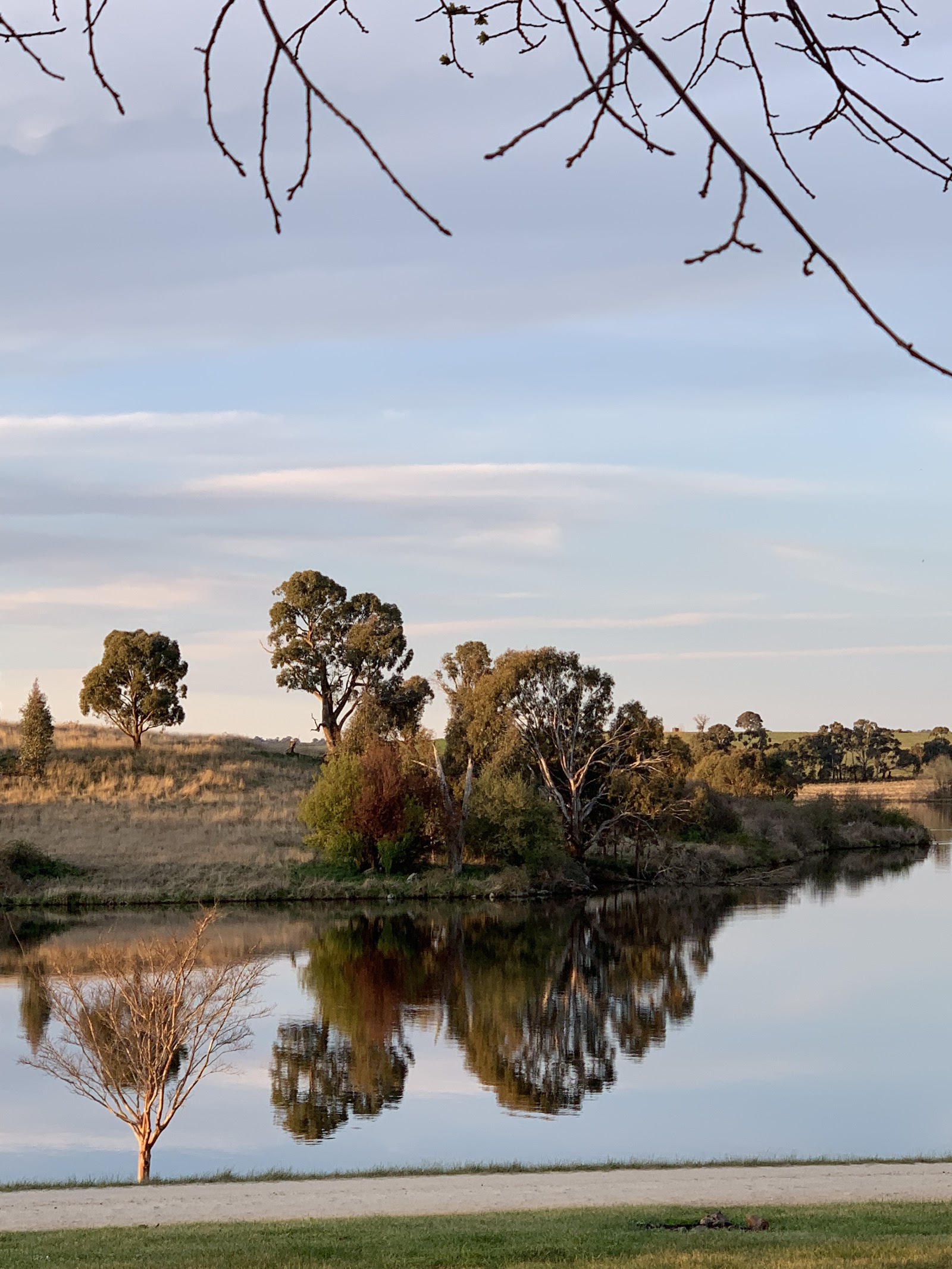 Carcoar Dam 4