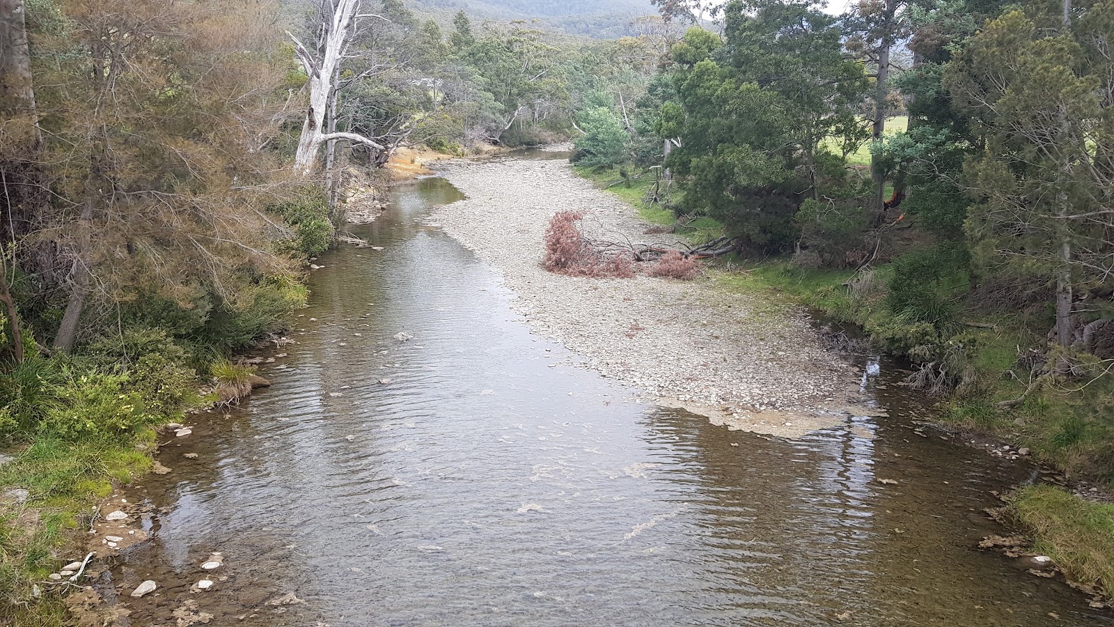 Douglas River Cabins 2