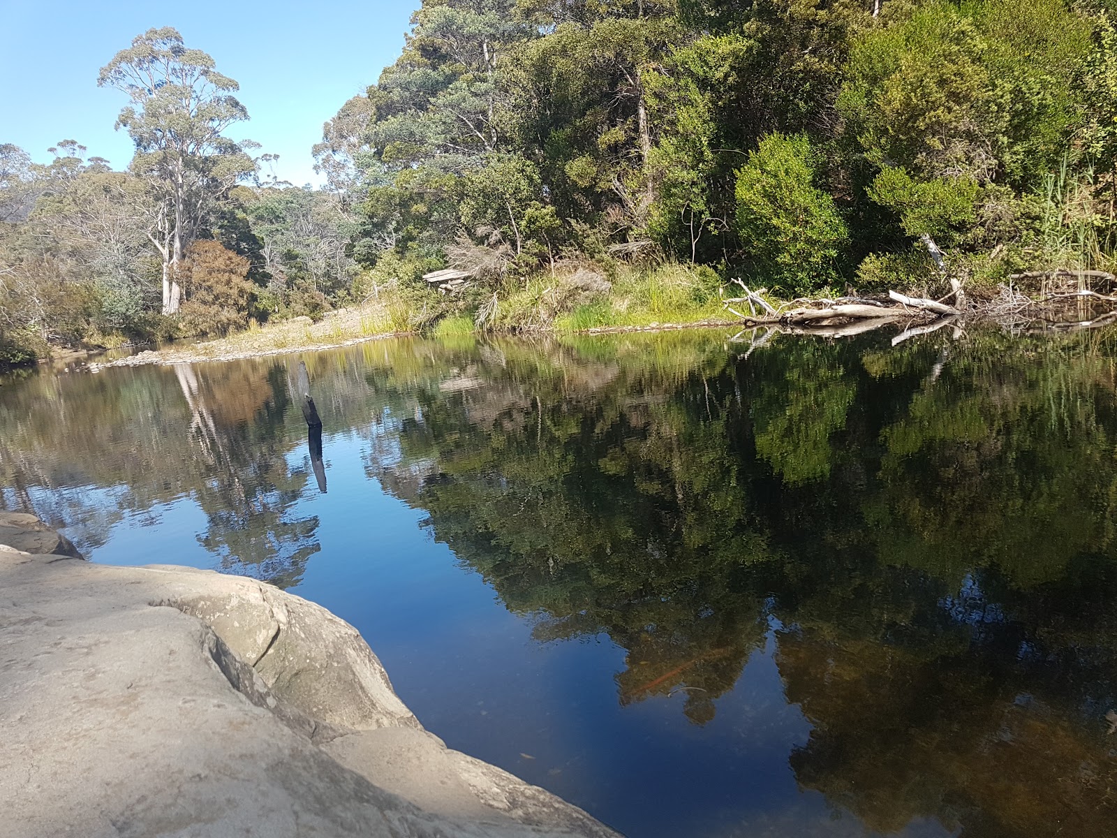 Douglas River Cabins 3