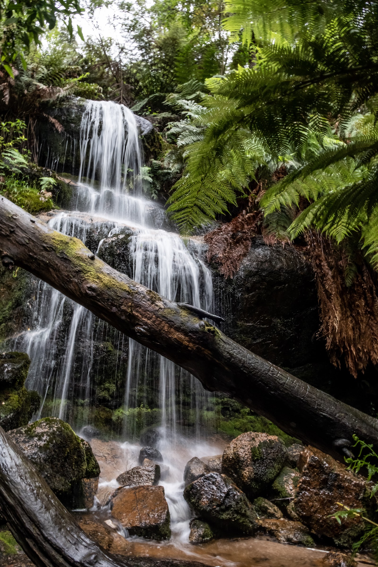 Mount Buangor State Park (Parks Victoria) 2