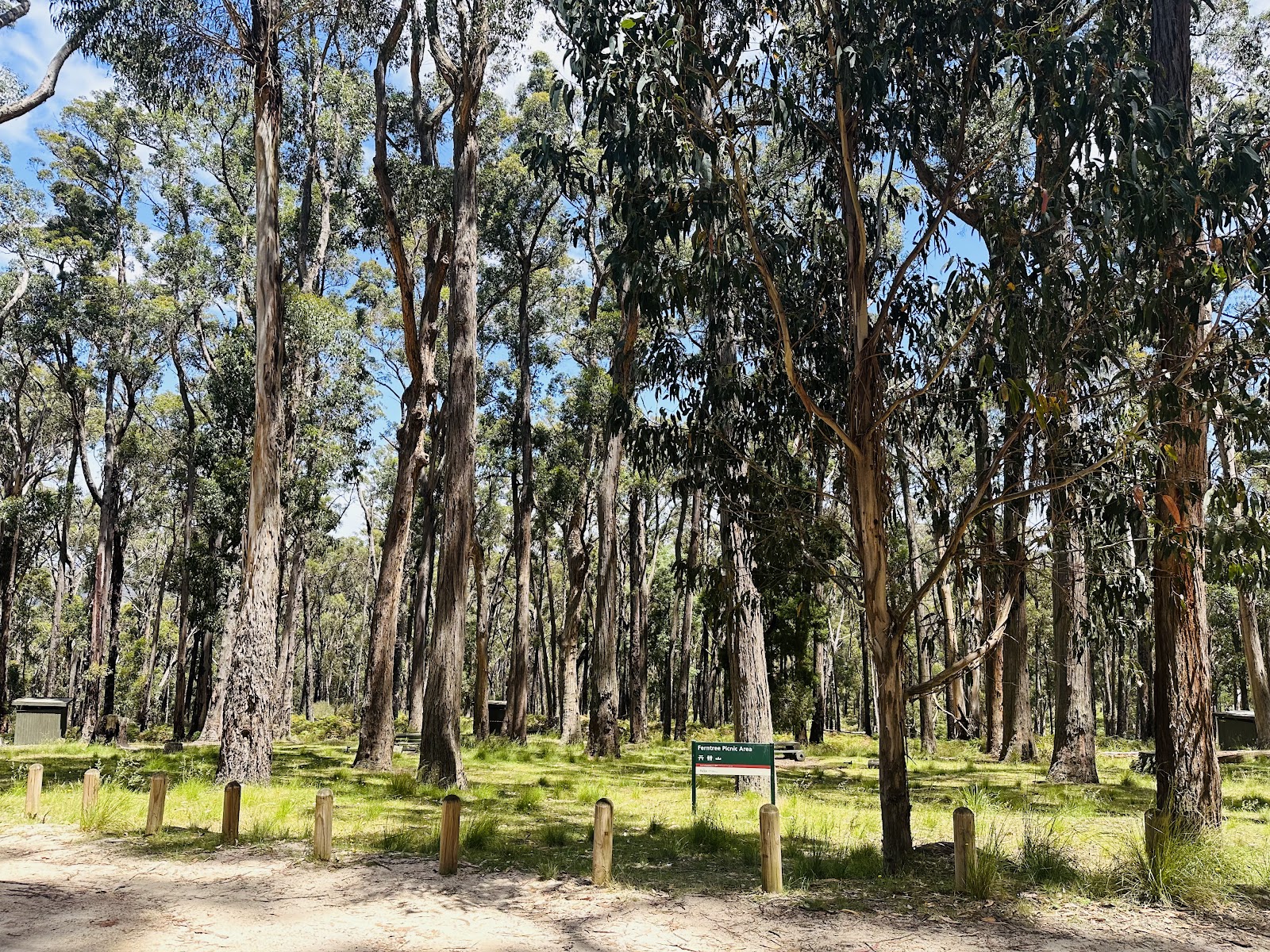 Mount Buangor State Park (Parks Victoria) 3