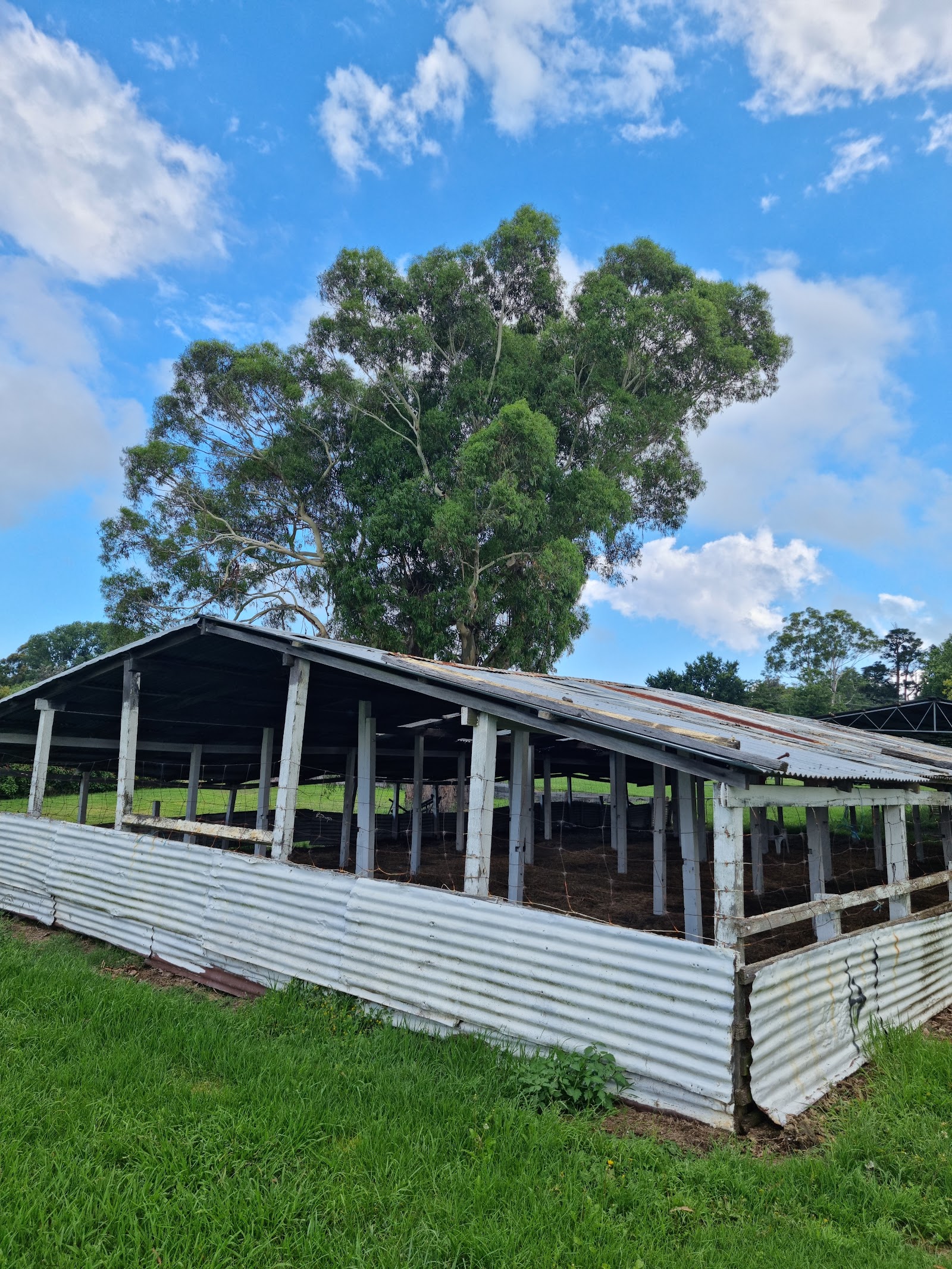 Moss Vale Showgrounds 2
