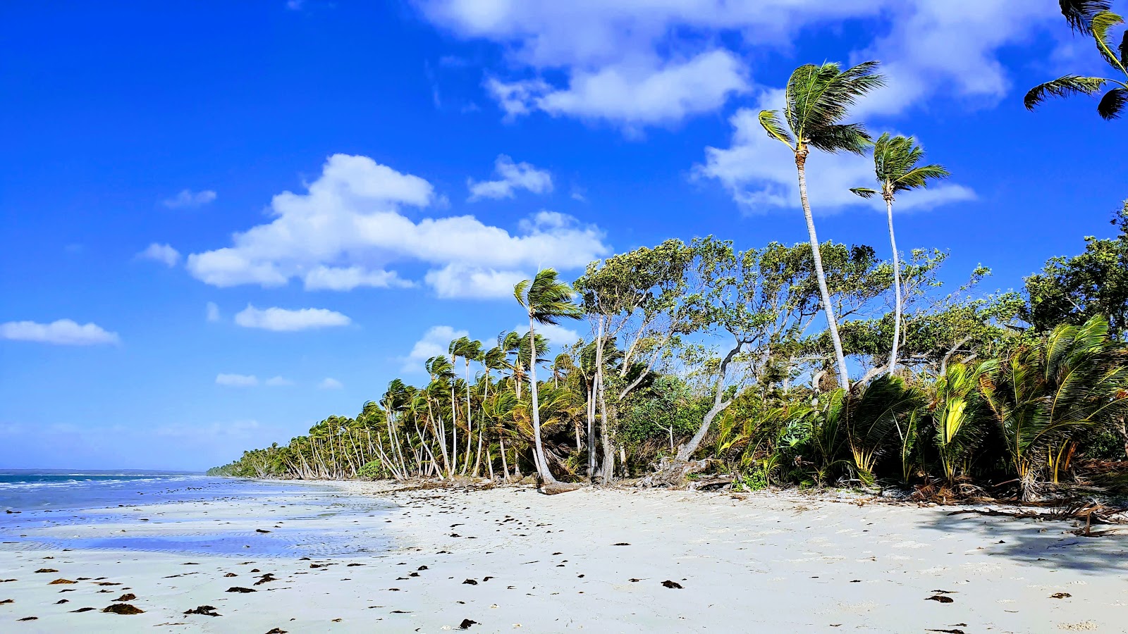 Chili Beach Camping Area, Kutini-Payamu (Iron Range) National Park (CYPAL) 2
