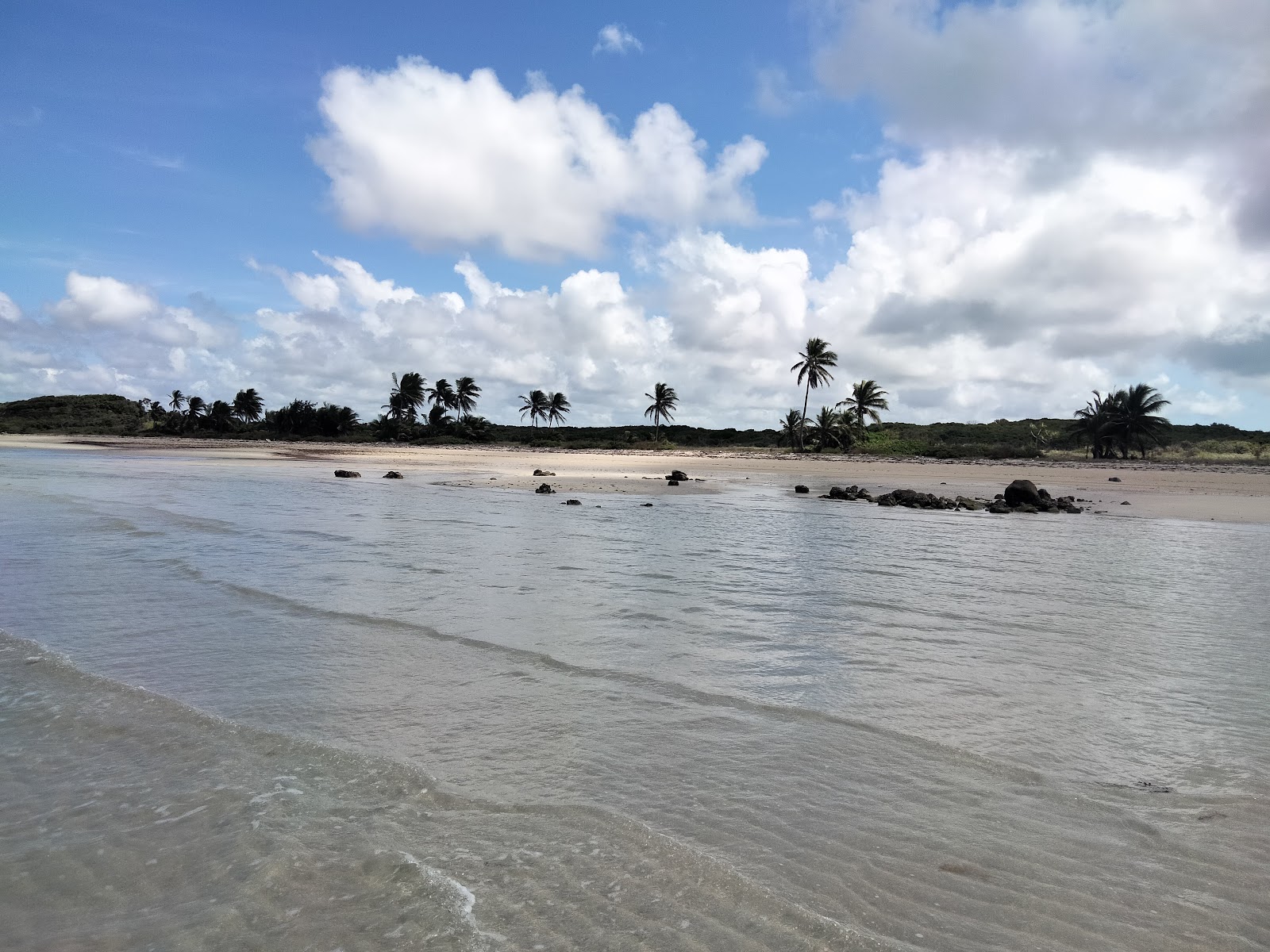 Chili Beach Camping Area, Kutini-Payamu (Iron Range) National Park (CYPAL) 3