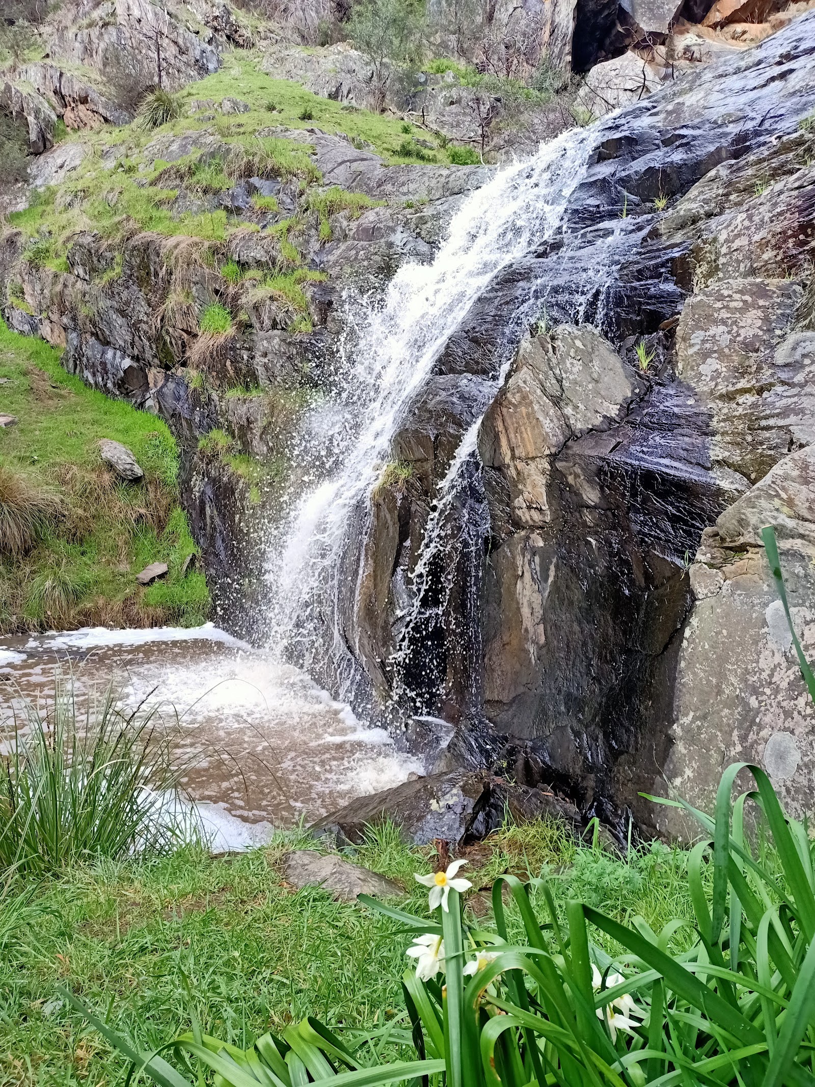Waterfalls Picnic Area 2