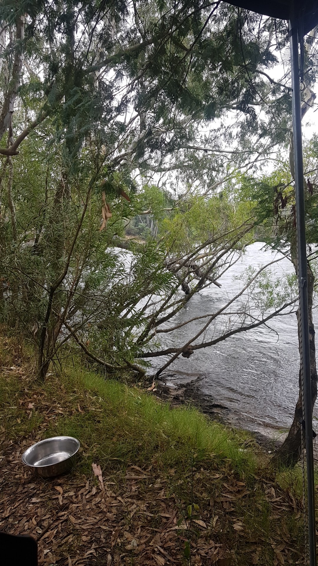 Neils Bend 6
