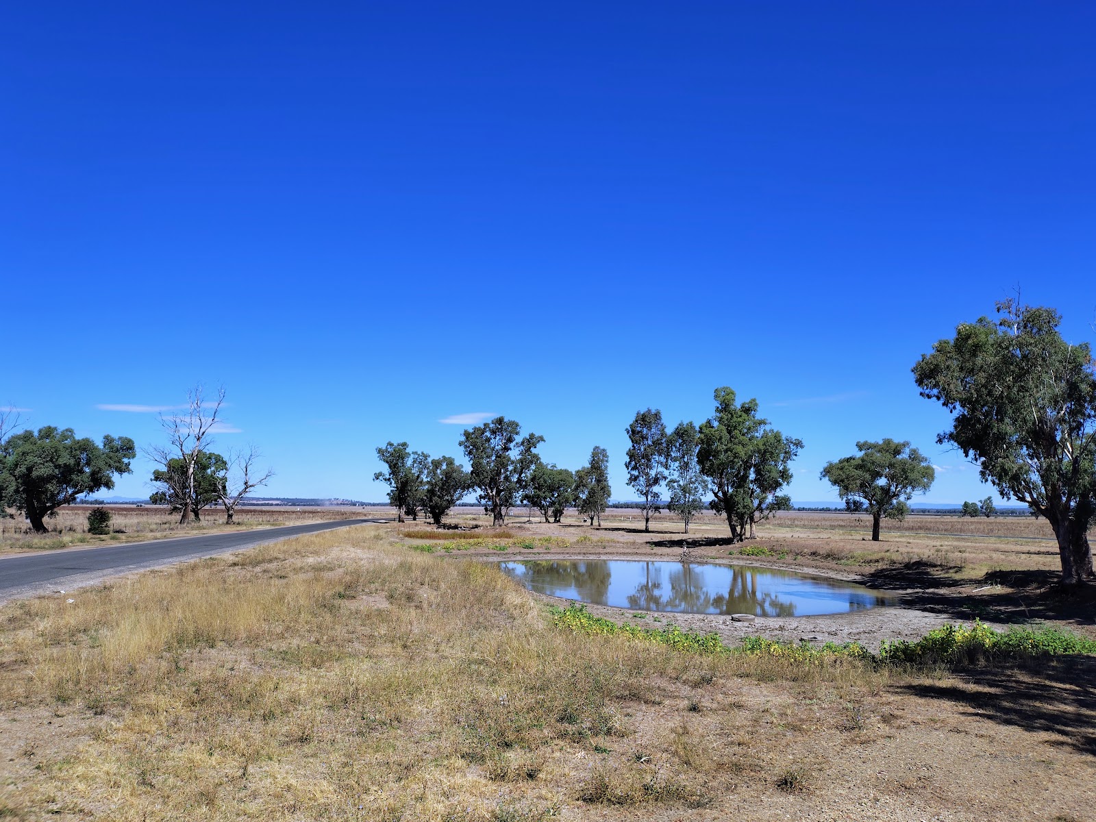 Square Bush Rest Area 3