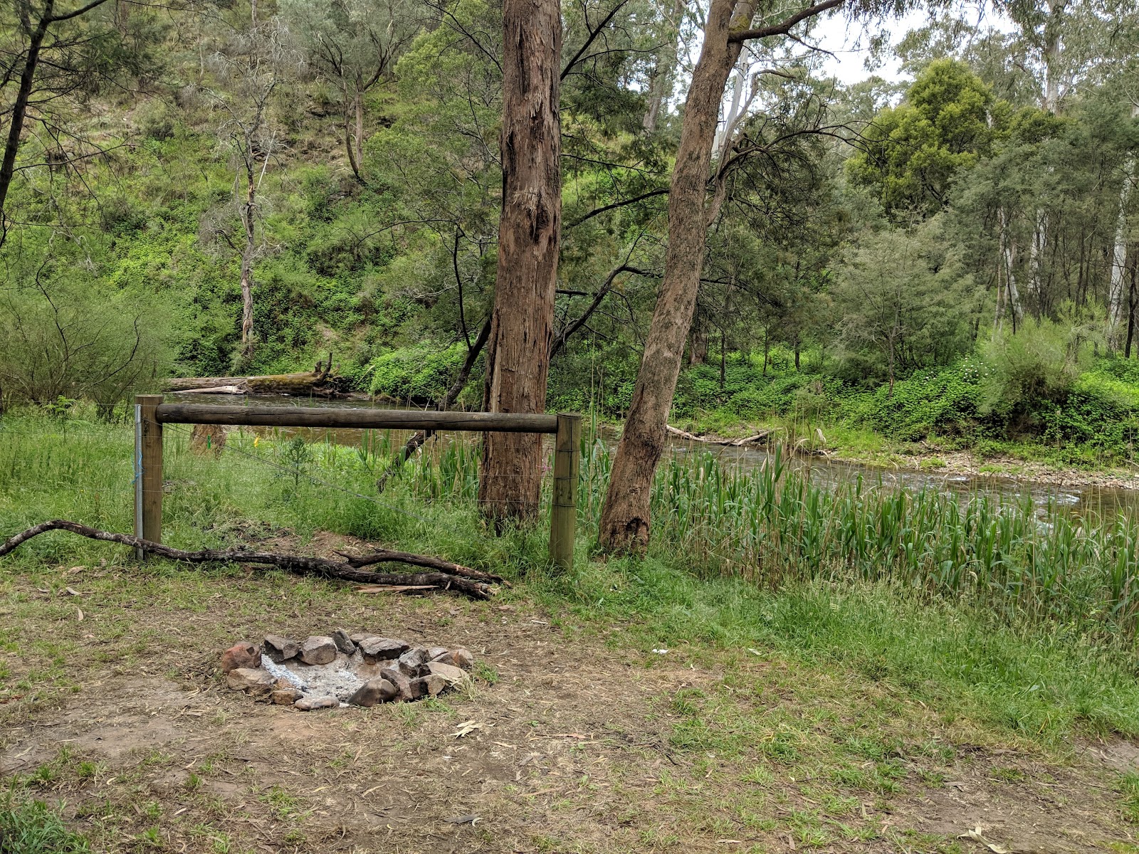 Upper Howqua Campground 2
