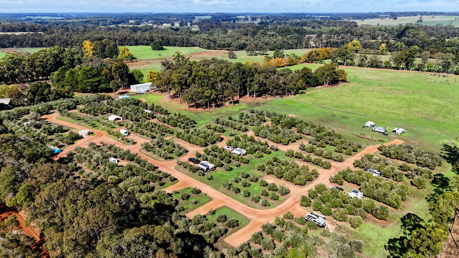 Olive Hill Farm 2