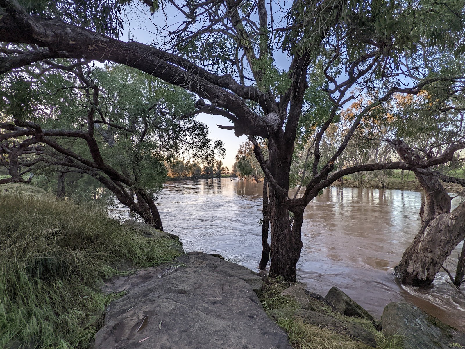 Terramungamine Reserve 3