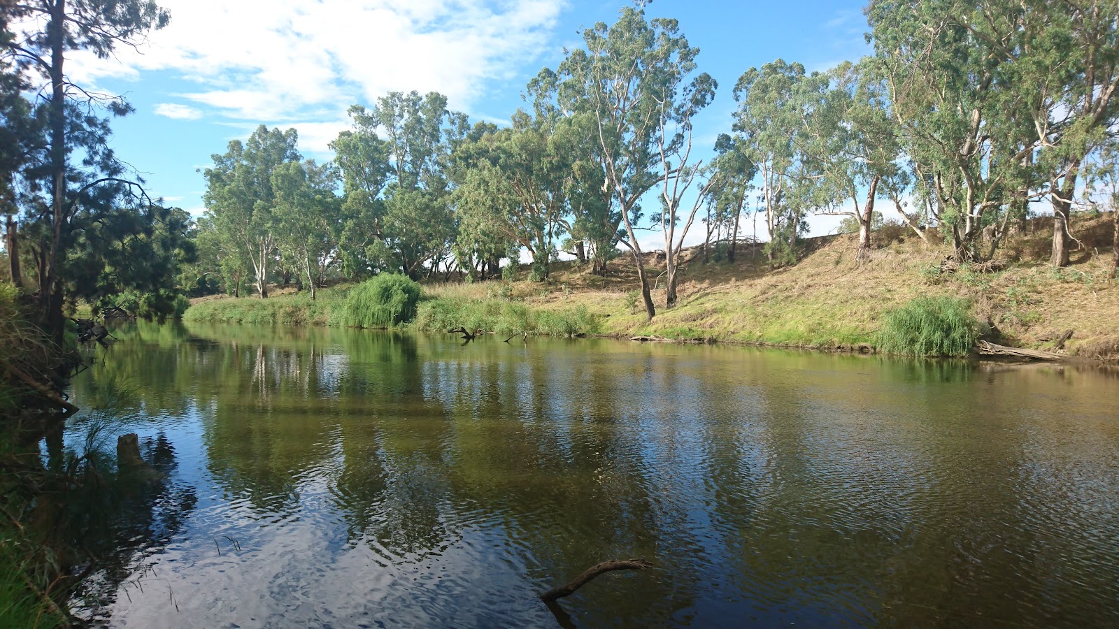 Terramungamine Reserve 4