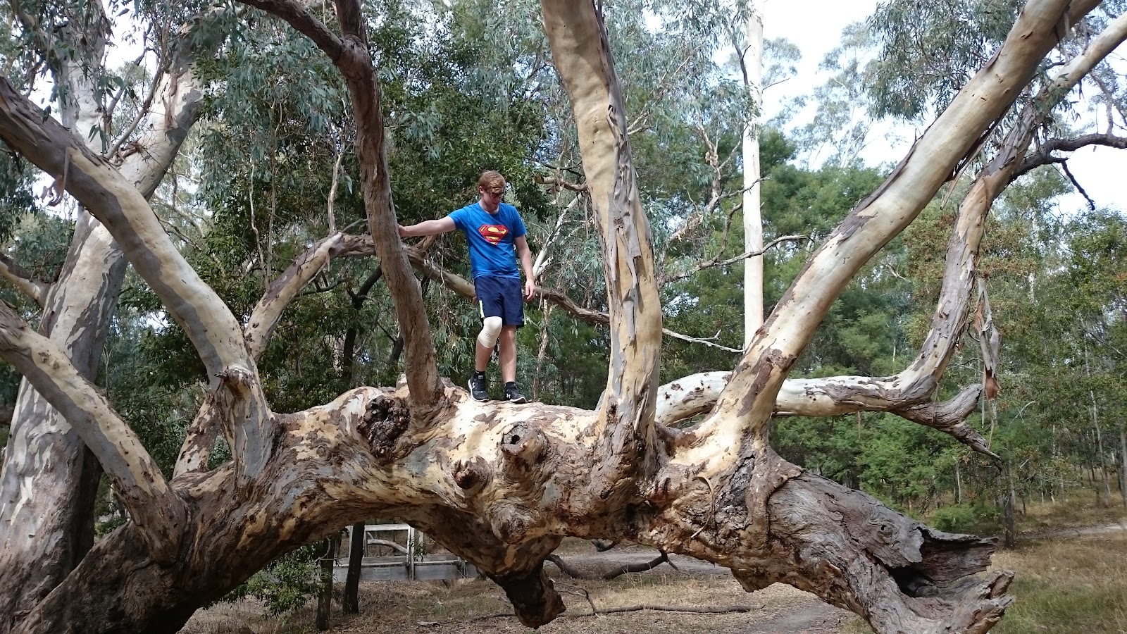 Chookarloo Campground 3