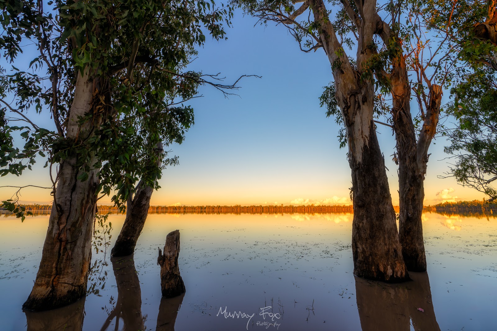Lake Broadwater Conservation Park 2