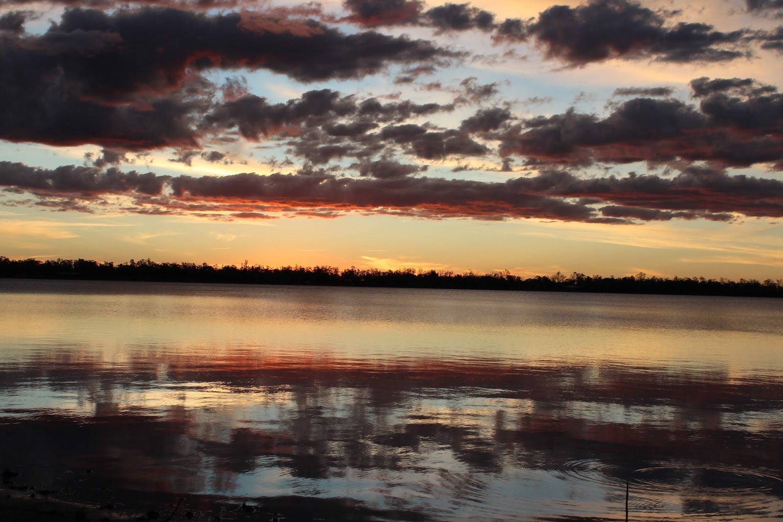 Lake Broadwater Conservation Park 3