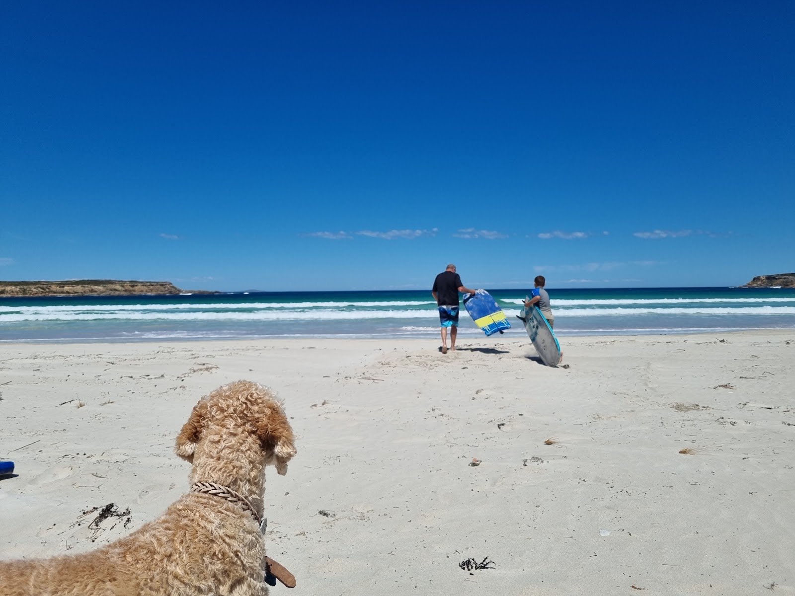Fishery Bay 2