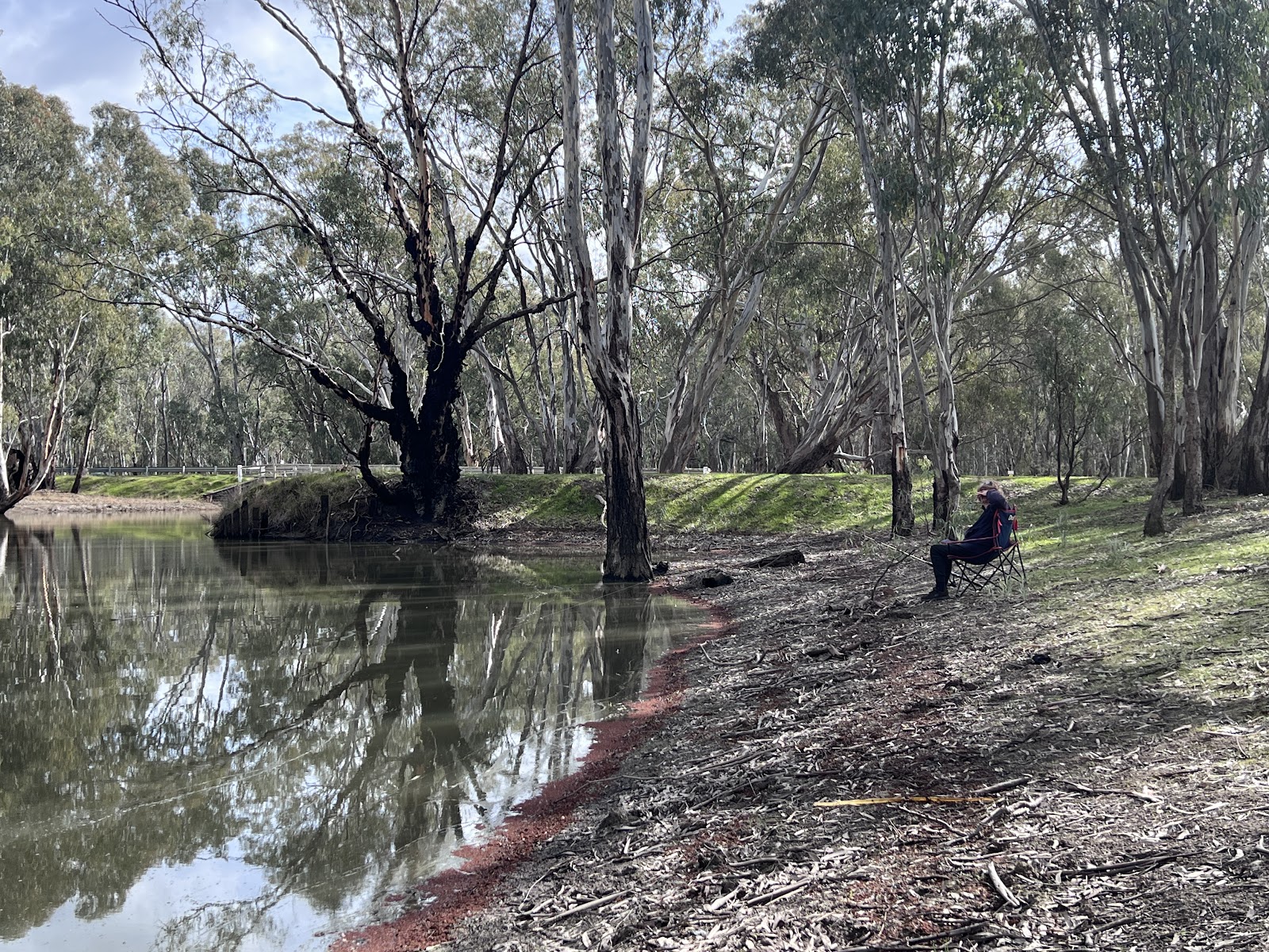 Barmah Lakes Camping and Picnic Ground 6
