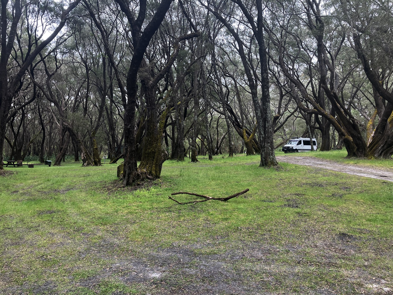 Crystal Springs Campground 2