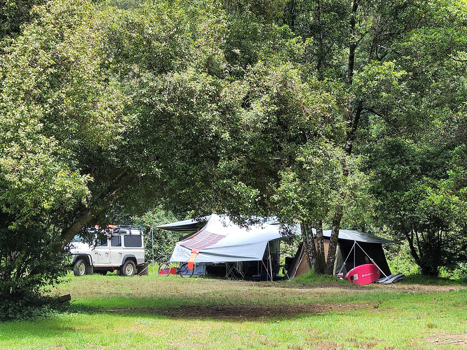 Coachwood Camping Area 2