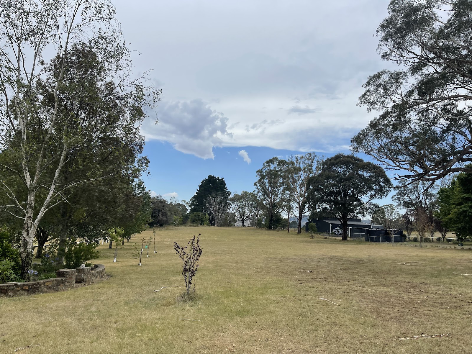 Majors Creek Recreation Reserve 2