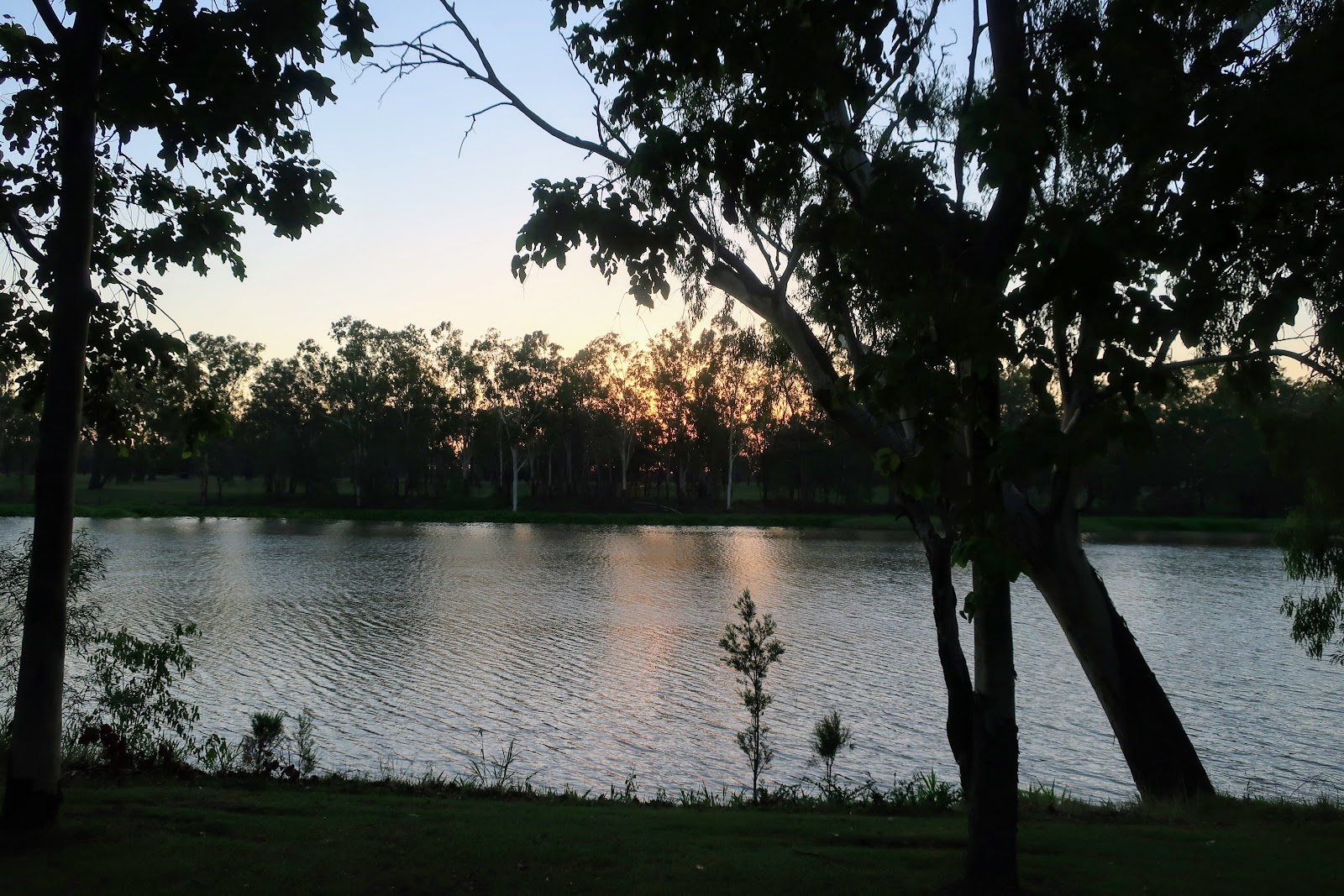 Neville Hewitt Weir 3