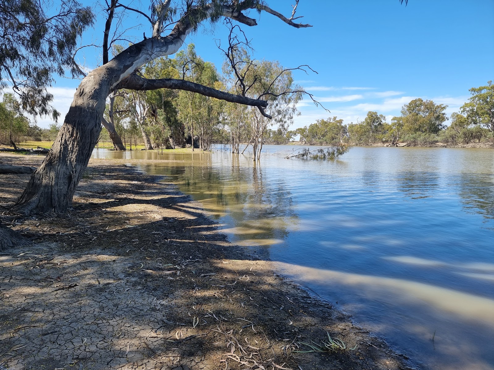 Chowilla Game Reserve 2
