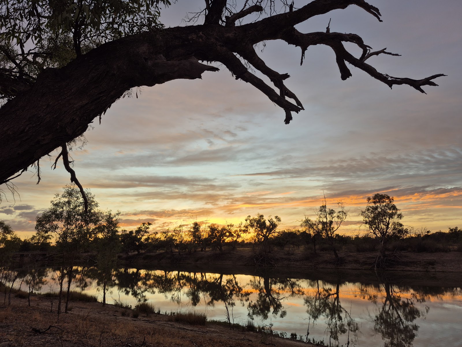 Chowilla Game Reserve 3